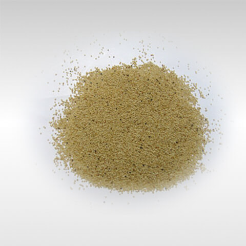Poppy Seed KHASKHAS 100 gm