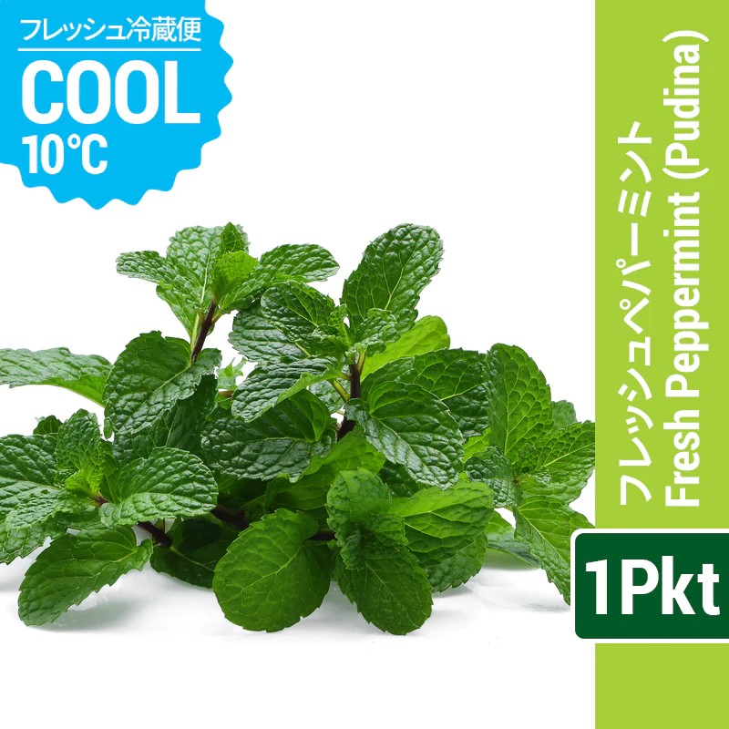 FRESH PEPPERMINT [PUDINA]