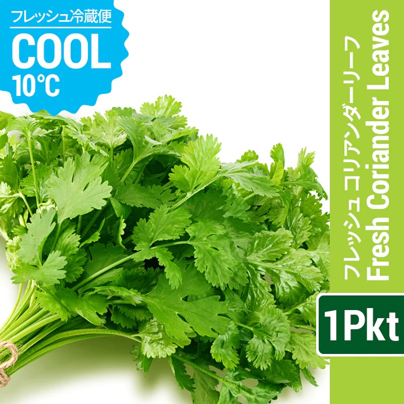 FRESH CORIANDER LEAVES
