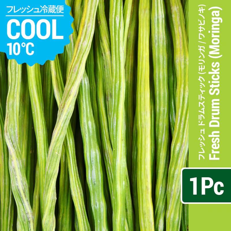 FRESH DRUM STICKS[MORINGA] 1PC