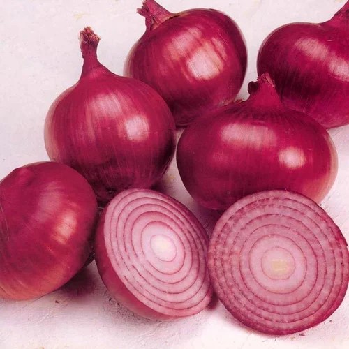 Red Onion indian