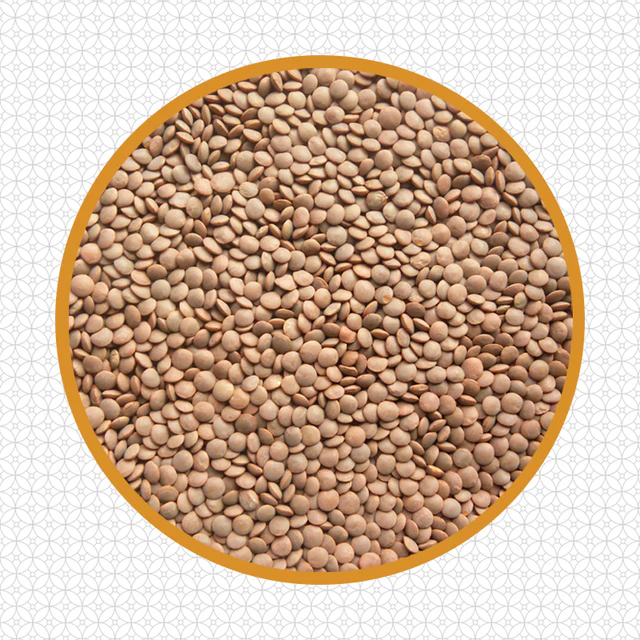MASOOR WHOLE 1 kg