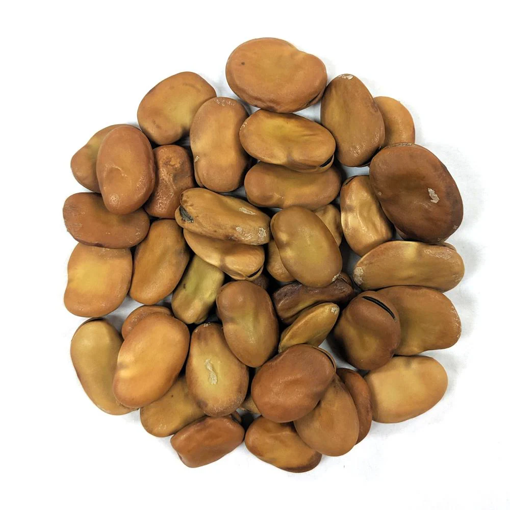 FAVA SMALL BEAN 1 KG