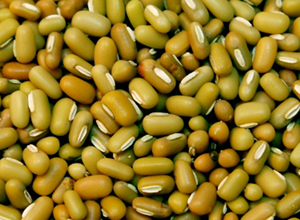 YELOO PEYUEN BEAN 1 KG  (MASAYANG )
