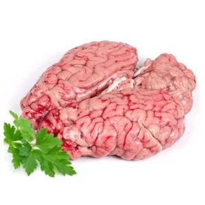 MUTTON /SHEEP BRAIN