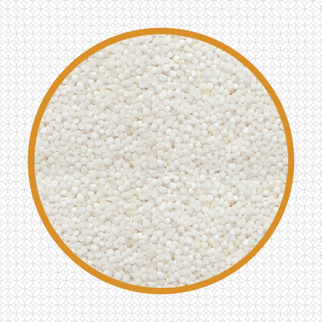 sabudana 500 gm